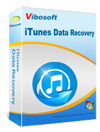 iTunes Data Recovery